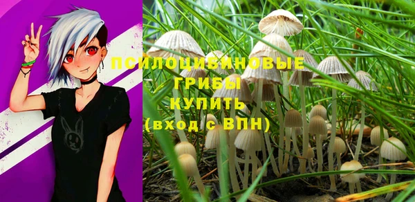 ешки Алексеевка