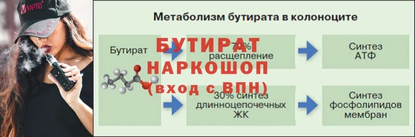 гидра Алексин