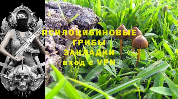 ешки Алексеевка