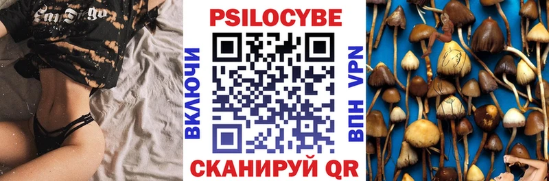Галлюциногенные грибы Psilocybine cubensis  Долинск 